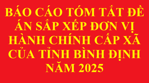 BÁO CÁO TÓM TẮT ĐỀ ÁN SẮP XẾP ĐƠN VỊ HÀNH CHÍNH CẤP XÃ CỦA TỈNH BÌNH ĐỊNH NĂM 2025